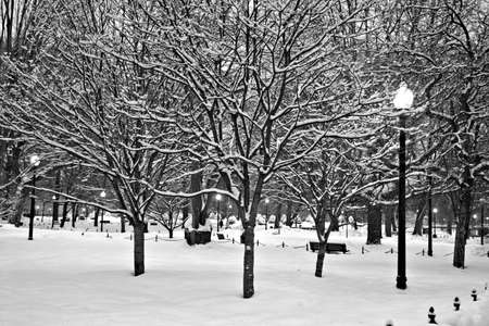 Stock image of a snowing winter at Boston, Massachusetts, USA\r\nの写真素材