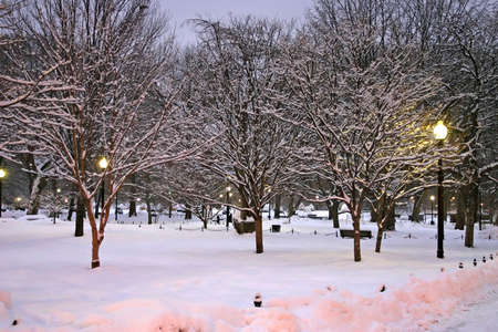 Stock image of a snowing winter at Boston, Massachusetts, USA\r\nの写真素材