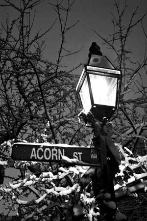 Stock image of a snowing winter at Boston, Massachusetts, USA\r\nの写真素材