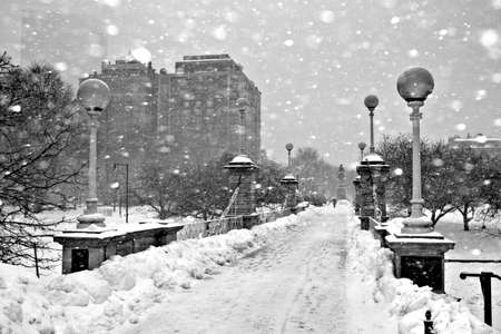 Stock image of a snowing winter at Boston, Massachusetts, USA\r\nの写真素材