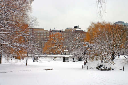 Stock image of a snowing winter at Boston, Massachusetts, USA\r\nの写真素材