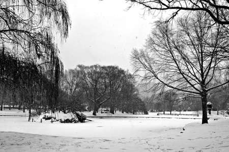 Stock image of a snowing winter at Boston, Massachusetts, USA\r\nの写真素材