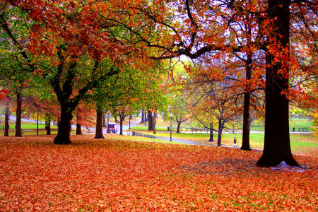 Stock image of fall foliage at Boston Public Garden
の写真素材