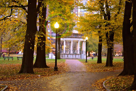 Stock image of fall foliage at Boston Public Garden
の写真素材