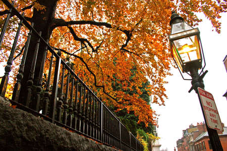Stock image of fall foliage at Boston Public Garden
の写真素材