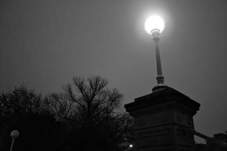 Stock image of fall foliage at Boston Public Garden
の写真素材