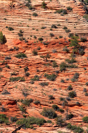 Zion National Park, USA
の写真素材