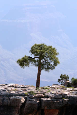Grand Canyon National Park (South Rim), USA

