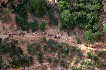 Grand Canyon National Park (South Rim), USA
の写真素材