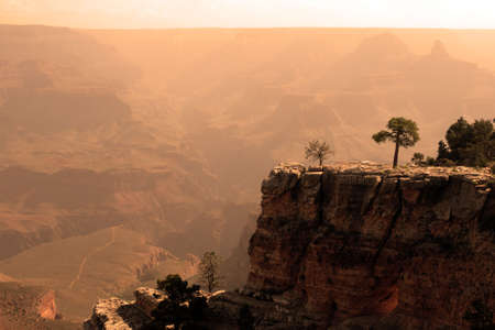 Grand Canyon National Park (South Rim), USA
の写真素材