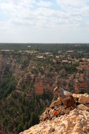 Grand Canyon National Park (South Rim), USA
の写真素材