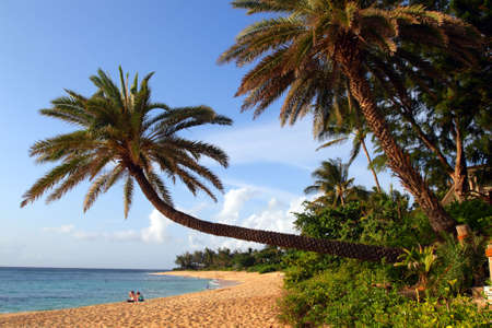 Sunset Beach, O'ahu, Hawaii
の写真素材