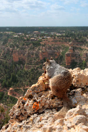 Grand Canyon National Park (South Rim), USA
の写真素材