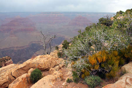 Grand Canyon National Park (South Rim), USA
の写真素材