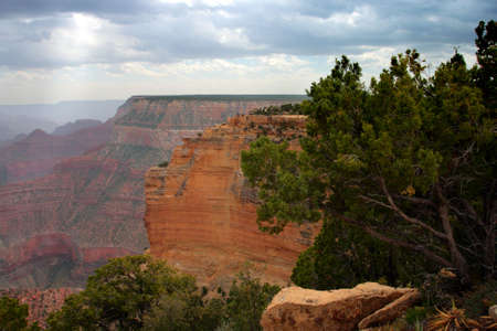 Grand Canyon National Park (South Rim), USA
の写真素材