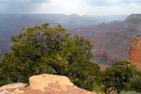 Grand Canyon National Park (South Rim), USA
の写真素材