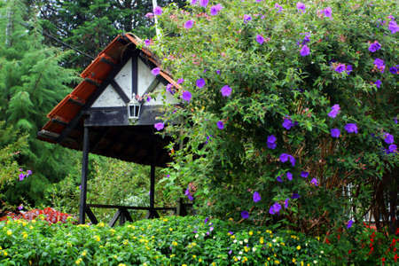 A traditional English cottage
の写真素材