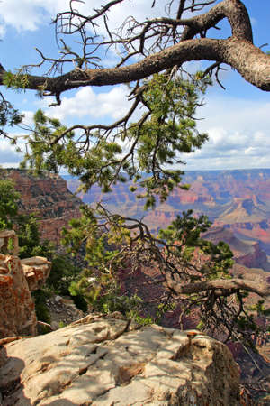 Grand Canyon National Park (South Rim), USA
の写真素材