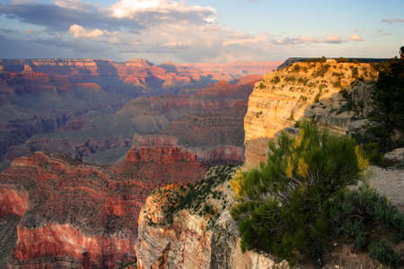 Grand Canyon National Park (South Rim), USA
の写真素材