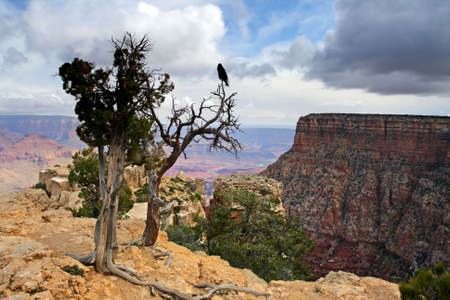 Grand Canyon National Park (South Rim), USA
の写真素材