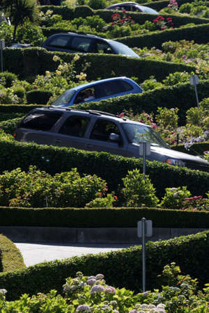 View of Lombard Street, the crookedest street in the world, San Francisco, California
の写真素材