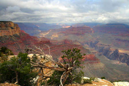 Grand Canyon National Park, USA
の写真素材