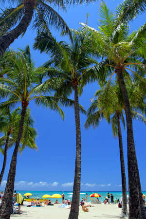 Stock image of Waikiki Beach, Honolulu, Oahu, Hawaii
の写真素材
