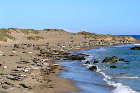 Stock image of California's Central Coast, Big Sur, USA
の写真素材