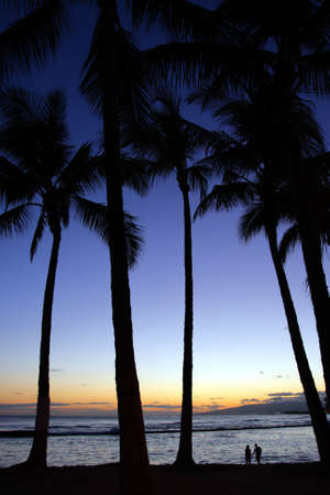 Stock image of Waikiki Beach, Honolulu, Oahu, Hawaii
の写真素材
