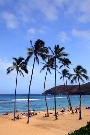 Stock image of Hanauma Bay, Oahu, Hawaii
の写真素材