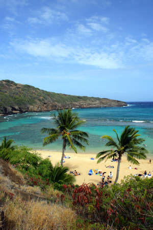 Stock image of Hanauma Bay, Oahu, Hawaii
の写真素材