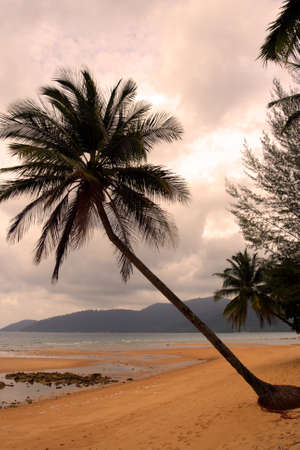 Tioman island, Malaysia 
の写真素材