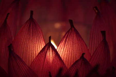 Candles with a soft background 
の写真素材