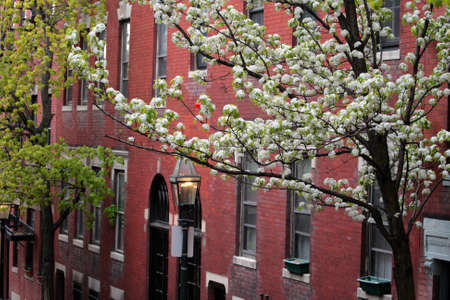 Beacon Hill is a wealthy neighborhood of Federal-style rowhouses, with some of the highest property values in the United States
の写真素材