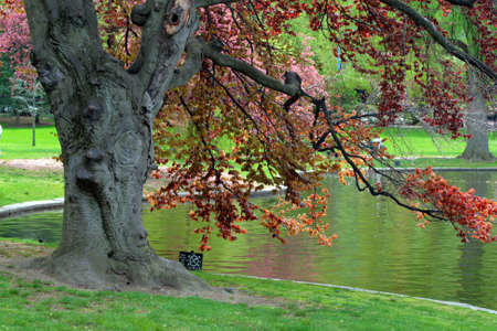 Boston Common and Public Garden, USA
の写真素材
