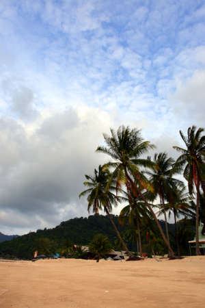 Tioman island, Malaysia 
の写真素材