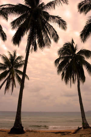 Tioman island, Malaysia 
の写真素材