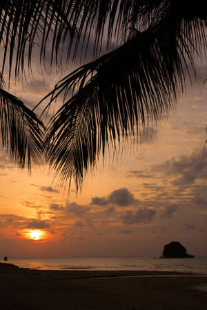 Tioman island, Malaysia 
の写真素材