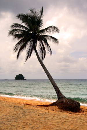 Tioman island, Malaysia 
の写真素材