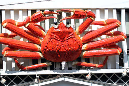 Nishiki Market Alley, Kyoto, Japan
の写真素材
