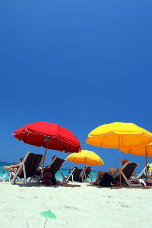 Doctor's Cave Beach Club, Montego Bay (also known as Doctor's Cave Bathing Club) has been one of the most famous beaches in Jamaica for nearly a century.
のeditorial素材