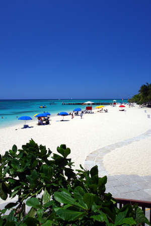 Doctor's Cave Beach Club, Montego Bay (also known as Doctor's Cave Bathing Club) has been one of the most famous beaches in Jamaica for nearly a century.
のeditorial素材