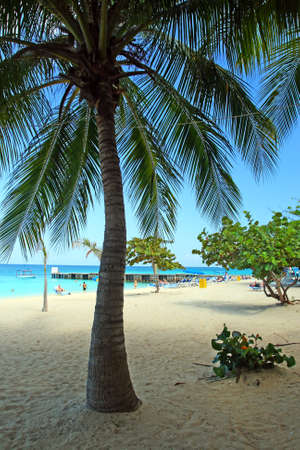 Doctor's Cave Beach Club, Montego Bay (also known as Doctor's Cave Bathing Club) has been one of the most famous beaches in Jamaica for nearly a century.
の写真素材