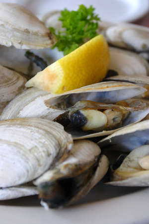 Bowl of Delicious Fresh Steamer Clams with Lemon and Broth
のeditorial素材