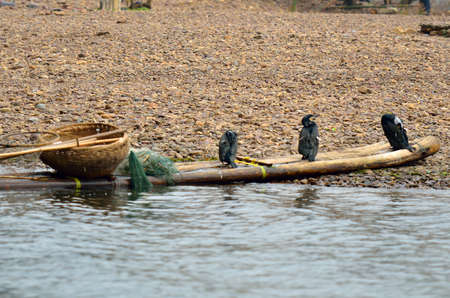 Landscape in Yangshuo Guilin, China 
の写真素材