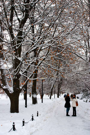 Snowing winter at Boston, Massachusetts, USA

のeditorial素材