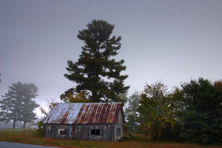 Sunlight streaking through foggy trees on an autumn morning 
のeditorial素材