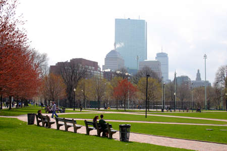 Cherry Blossom in Boston Public Garden during spring
のeditorial素材