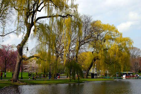 Boston Common and Public Garden, USA
のeditorial素材