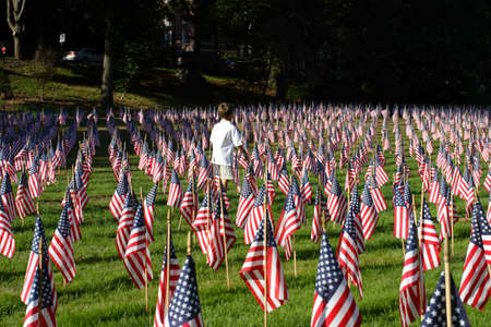 Field of American Flags 
のeditorial素材